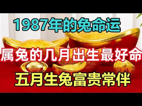 1987年五行屬什麼